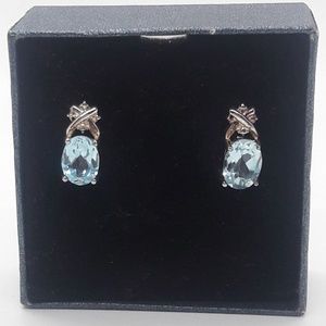 Sterling Silver Earrings with Translucent Blue NEW